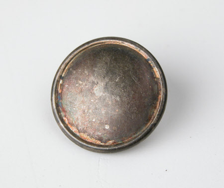 Livery button