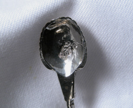 Erddig © National Trust / Susanne Gronnow