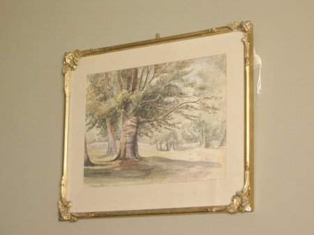 Trees in the Park at Croft Castle, Herefordshire