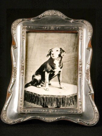 'Memory', Sir Alexander Palmer Bruce Chichester, 2nd Bt Chichester of Arlington (1842-1881) terrier