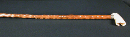 Walking stick