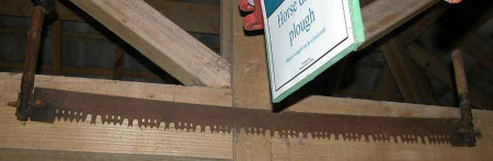 Crosscut saw
