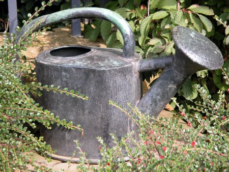 Hidcote Manor Garden © National Trust/ Clare Conybeare & Jo Moore