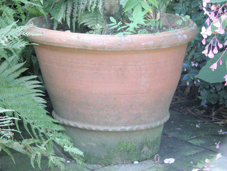 Hidcote Manor Garden © National Trust/ Clare Conybeare & Jo Moore