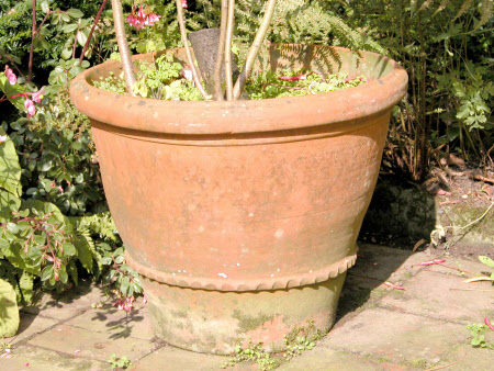 Hidcote Manor Garden © National Trust/ Clare Conybeare & Jo Moore