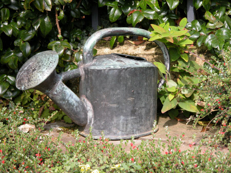 Watering can