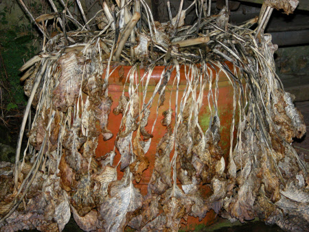 Hidcote Manor Garden © National Trust/ Clare Conybeare & Jo Moore