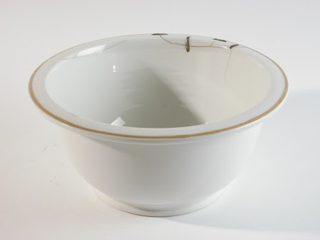 Ice pail liner
