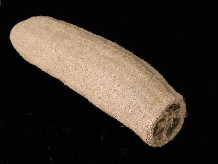 Loofah