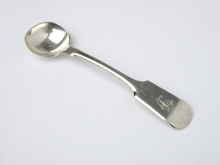 Salt spoon