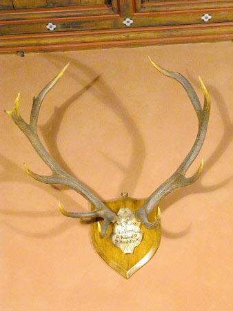 Game trophy