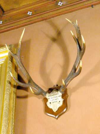 Game trophy
