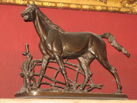 Stallion