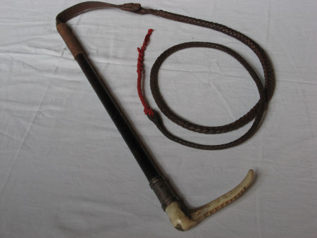 Hunting whip