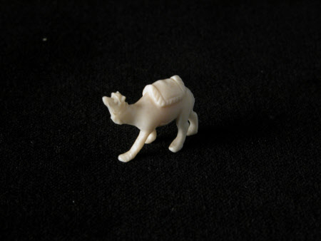Camel