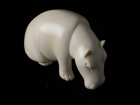 Hippopotamus