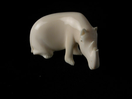 Hippopotamus
