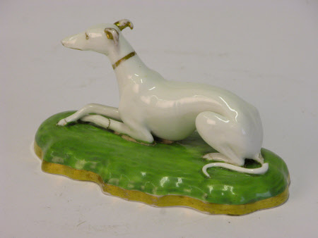 Greyhound