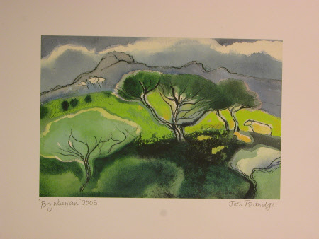 Brynberian 2003