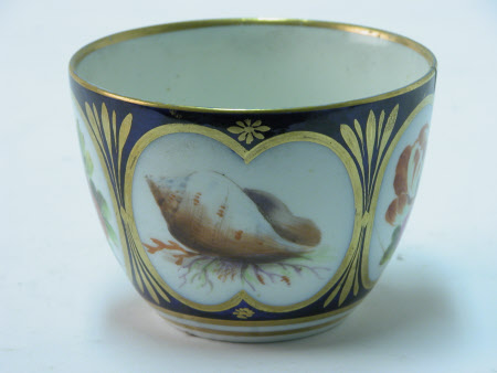 Cup