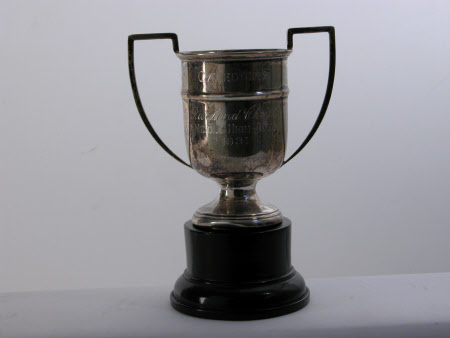 Trophy cup
