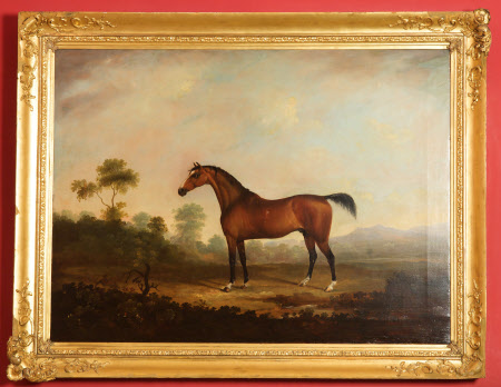 Lord Anglesey's Horse 'Cossack' 1176289 | National Trust Collections