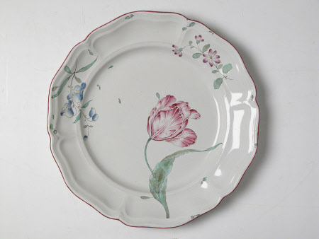 Dish