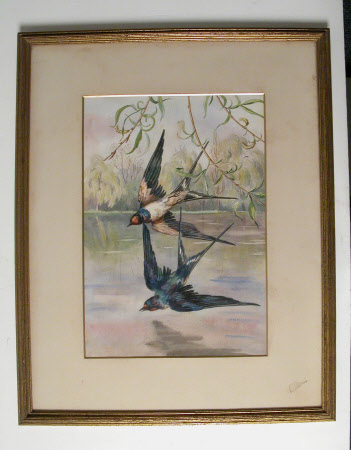 Watercolour drawing