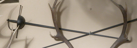 Rapier
