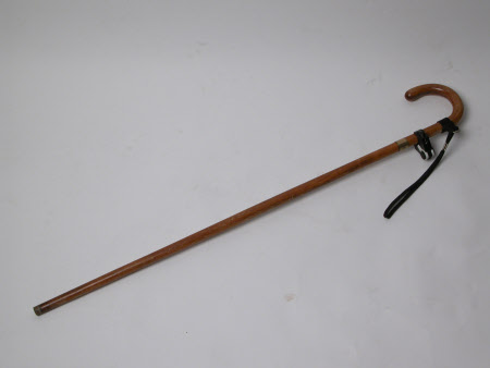 Walking stick
