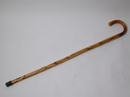 Walking stick