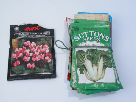 Seed packet