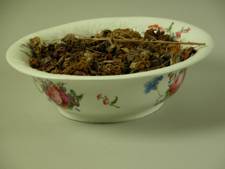 Mount Stewart © National Trust / Sheena Taylor