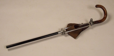Walking stick