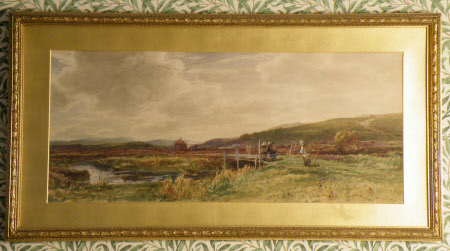 Moorland Scene