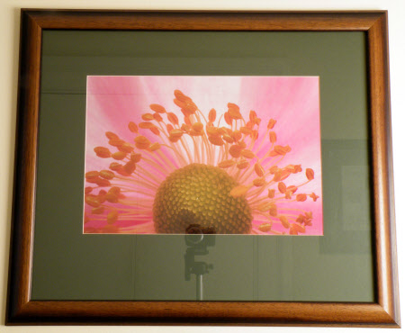 Photograph and frame