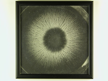 A circular electrical discharge, believed to be taken by John Worsnop of Rothbury of Lord ...