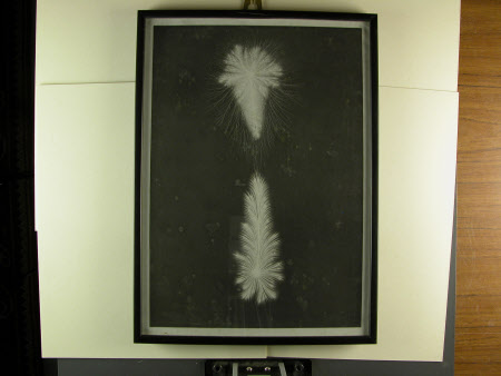 An electrical discharge, believed to be taken by John Worsnop of Rothbury of Lord Armstrong's ...