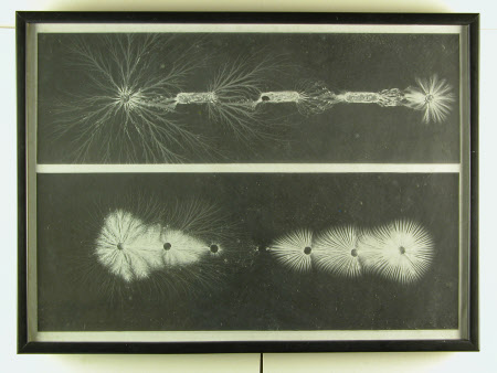 Two electrical discharges, believed to be taken by John Worsnop of Rothbury of Lord Armstrong's ...