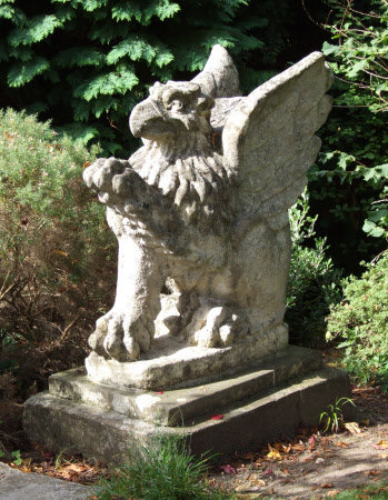 Griffin