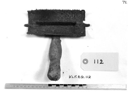 Curry comb