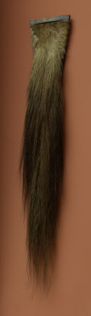 Horse tail