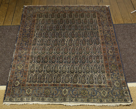 Rug
