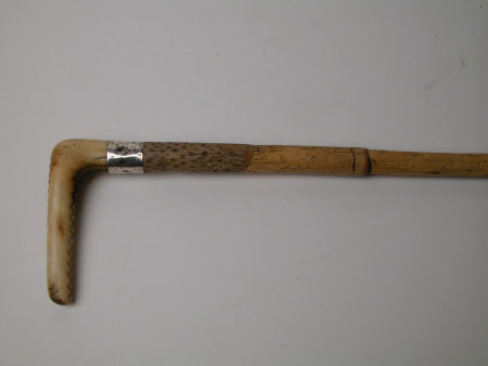 Walking cane