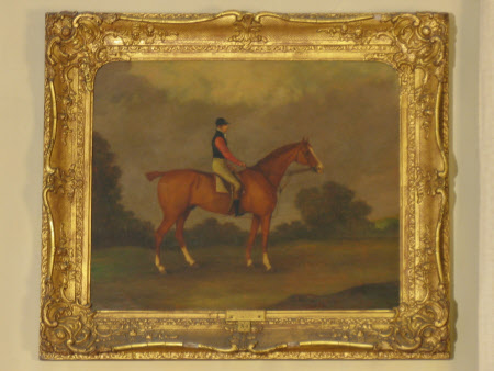 Shugborough © National Trust / Sophia Farley