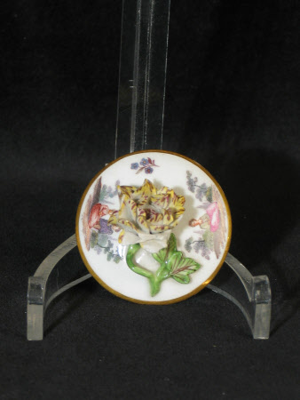 Milk jug cover