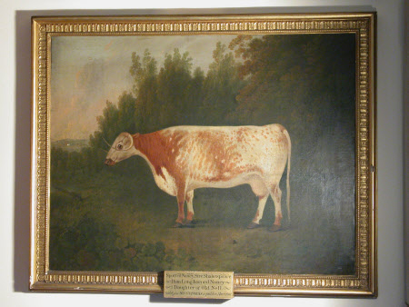 Shugborough © National Trust / Sophia Farley