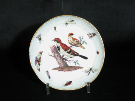 Saucer