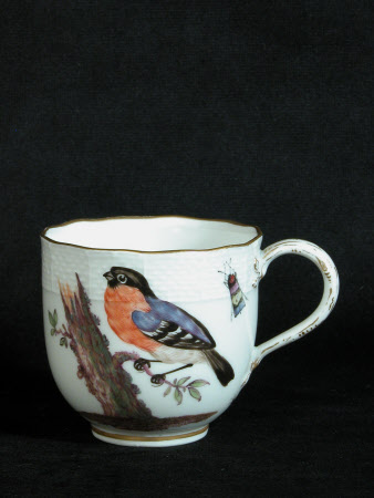 Cup