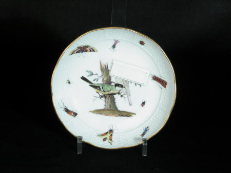 Saucer